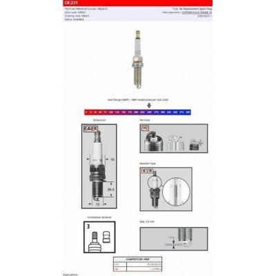 CHAMPION S-PLUG REA6YC OE231 – Hledejceny.cz