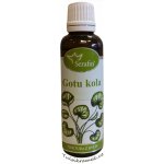 Serafin Gotukola tinktura z bylin 50 ml – Hledejceny.cz