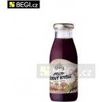 Moštárna Louny mošt Jablko černý rybíz 250 ml – Zboží Dáma