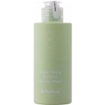 By Wishtrend Green Tea & Enzyme jemný čisticí pudr 110 g – Hledejceny.cz