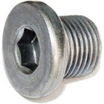 Vypouštěcí šroub olejové vany Ford 2.0 TDCi | Zboží Auto