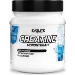 Evolite Glutamine 400 g – Hledejceny.cz