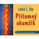 Přítomný okamžik - 365 denních afirmací - Hay Louise L.