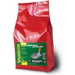 HASOFT SPRAVBETON 25 kg – Sleviste.cz