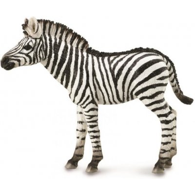 Collecta Zebra hříbě