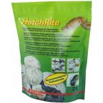 Lucky Reptile HatchRite 2 l – Zboží Dáma