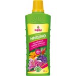 Forestina BIOMIN hnojivo na jahody 1 kg – Zbozi.Blesk.cz