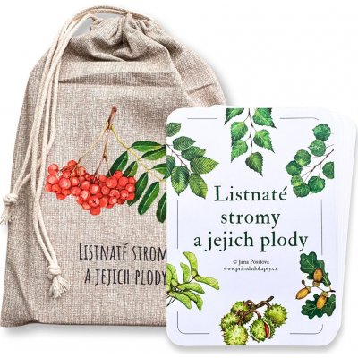 Listnaté stromy a jejich plody poznávací karty – Zboží Živě