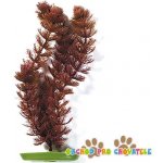 Hagen rostlina Foxtail 20 cm – Hledejceny.cz