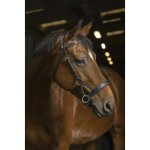 NORTON Bezudidlová uzdečka PRO Confort Havana – Zboží Mobilmania