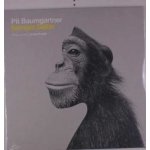 Pit Baumgartner - Sample Selfie LP – Zbozi.Blesk.cz