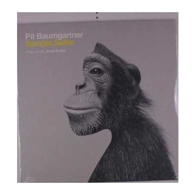 Pit Baumgartner - Sample Selfie LP – Zbozi.Blesk.cz