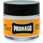 Proraso Moustache Wax vosk na vousy Wood & Spice 15 ml – Sleviste.cz