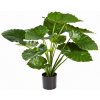 Květina Luxusní umělá květina ALOCASIA CALIDORA KEŘ, 75 cm