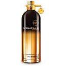 Montale So Amber parfémovaná voda unisex 100 ml