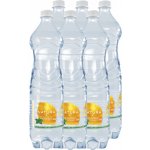 Natura citron a máta 6 x 1,5 l – Hledejceny.cz