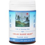 TCM Herbs Chlad ranní mlhy 100 tablet – Hledejceny.cz