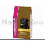 Eukanuba Labrador Retriever 2,5 kg – Hledejceny.cz