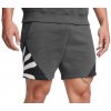 Pánské kraťasy a šortky Under Armour Curry Splash Fleece Short-GRY 1387112-025