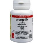 Sinecura Prorostlík Chaihu extrakt 20 g – Hledejceny.cz