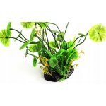 Repti Zoo Pilea 20 cm – Zboží Dáma