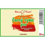 Bylinné kapky Duše rostlin Černý rybíz plod tinktura 50 ml – Hledejceny.cz