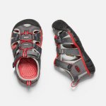 Keen SEACAMP II CNX K magnet drizzle – Sleviste.cz