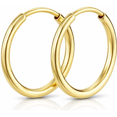 Soliter Náušnice zlaté kruhy 231 001 00487 – Sleviste.cz