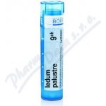 LEDUM PALUSTRE POR 9CH GRA 1X4G – Hledejceny.cz