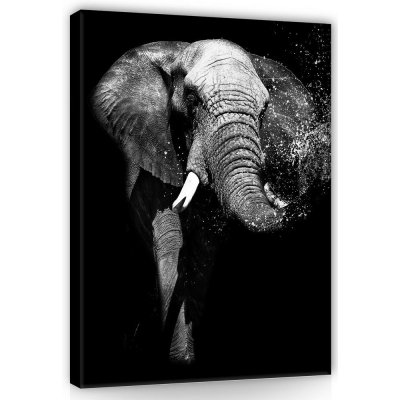 Postershop Obraz na plátně: Černobílý slon - 100x75 cm – Zboží Mobilmania