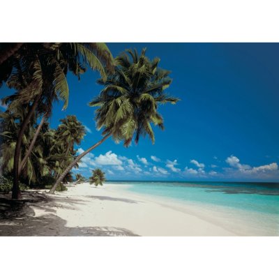 Komar Papírová fototapeta Maldives rozměry rozměry 388 x 270 cm – Zboží Mobilmania