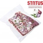 Status sáčky Premium 35 x 40 cm 25 ks 176261 – Hledejceny.cz