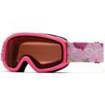 Smith SIDEKICK – Zboží Mobilmania