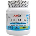 Amix Collagen Marine peptan drink tropical 300 g – Hledejceny.cz