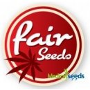 Fair Seeds Auto OG Kush semena neobsahují THC 3 ks