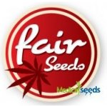 Fair Seeds AUTO OG Kush semena neobsahují THC 3 ks – Zboží Dáma