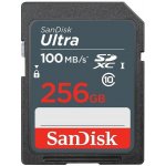 SanDisk SDXC 256 GB SDSDUNR-256G-GN3IN – Hledejceny.cz