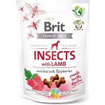 Brit Care Dog Crunchy Cracker Insects with Lamb enriched with Raspberries 200 g – Hledejceny.cz
