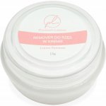 Premium Lashes REMOVER 15 g – Zboží Dáma