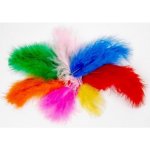 Fandy Peří barevné Bright 10 gr. mix barev – Hledejceny.cz