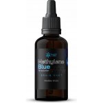 Slavic Labs Světle Modrá 1% Methylene Blue 30 ml – Hledejceny.cz