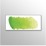 Mijello Akvarelové barva W532 Yellow Green 15 ml – Hledejceny.cz