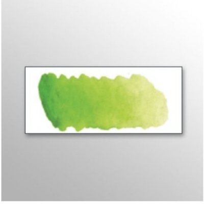 Mijello Akvarelové barva W532 Yellow Green 15 ml – Hledejceny.cz