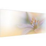 Obraz - Jemný květ, jednodílný 200x100 cm – Hledejceny.cz