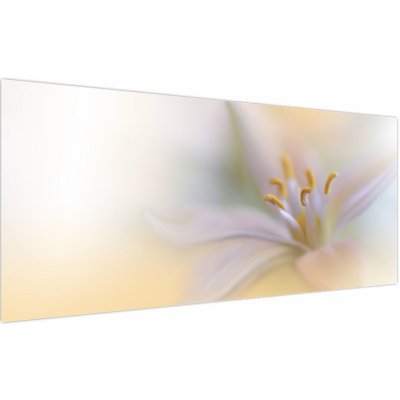 Obraz - Jemný květ, jednodílný 200x100 cm – Hledejceny.cz