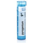 PYROGENIUM POR 9CH GRA 4G – Hledejceny.cz