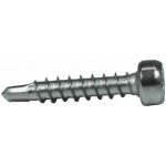 Vruty pro kluzáky 4,2x22mm T20 kalený nerez – Hledejceny.cz