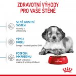 Royal Canin Medium Puppy 1 kg – Zbozi.Blesk.cz