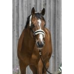 RIDING WORLD Ohlávka s beránkem černá – Zboží Dáma