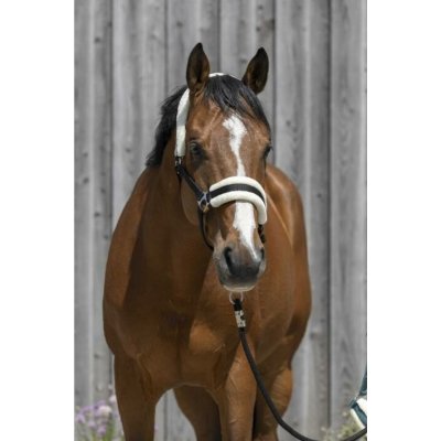 RIDING WORLD Ohlávka s beránkem černá – Zboží Dáma